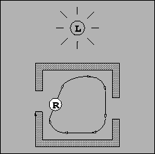 \includegraphics [width=5cm]{falle2.eps}